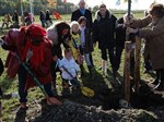 Opening KinderBomenBos