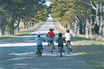 Plan je bosrijke fietsroute online