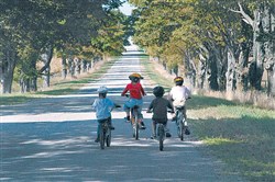 Plan je bosrijke fietsroute online