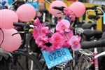 Een fiets huren kan natuurlijk ook!