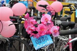 Een fiets huren kan natuurlijk ook!