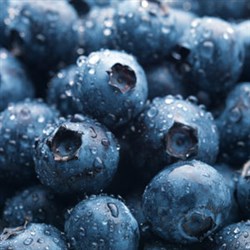 Blauwe bessen bestrijden vetcellen