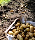 Biologisch gezonder?