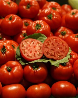 Tomaten beschermen