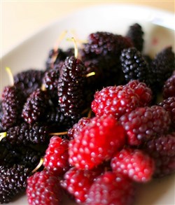 Kijk uit met fruit