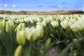 Lenteroute op Texel